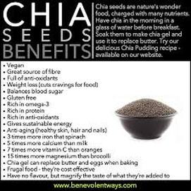 Chia seeds oil can work wonders for your hair problems  HealthShots